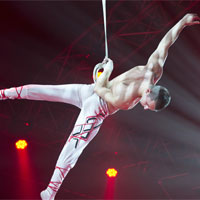 Alex - Aerial Straps & Aerial Rope Solo Acts