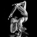 Haley - Каучук - Воздушная гимнастка на ремнях